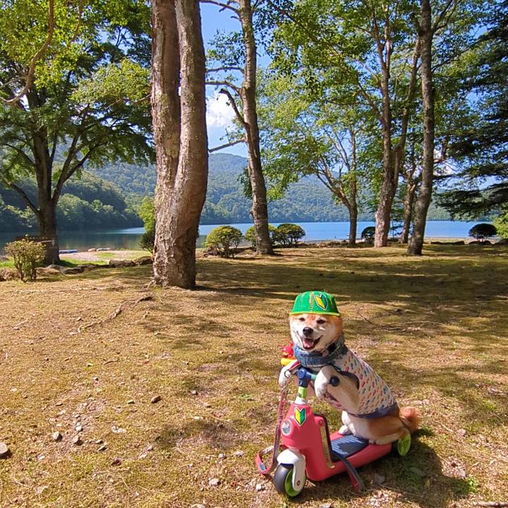 9b516e9a bf26 4df9 8b77 a5b6f0fc14e4 1752064468799