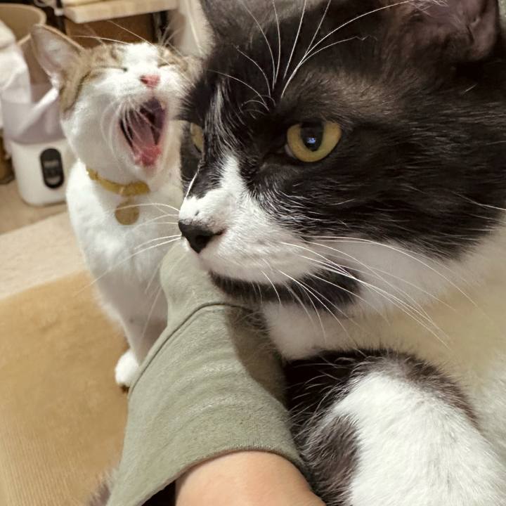 9b518fb5 e2d6 4c6a a38f ac7137725b97 1763552769677