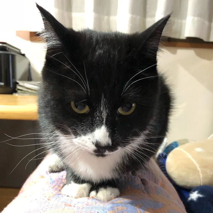 9b51990b 38d3 4714 8dea a634e6a2d191 1523685207610