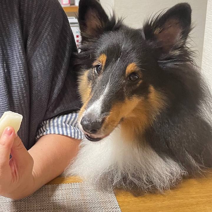 9b5199fc e547 4230 ac99 145063963b6a 1633518031411