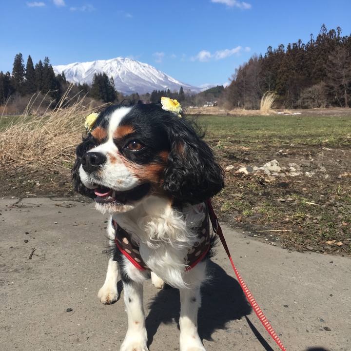 9b51db0e e608 418d aa57 c4e3fc39ad6f 1521890277616