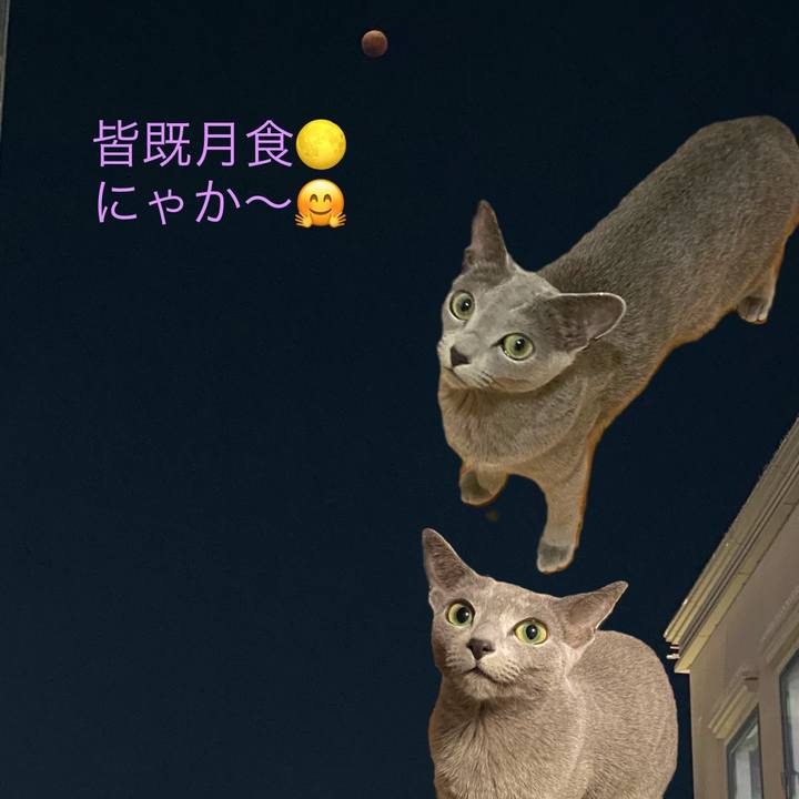 9b51fa68 7ced 4cc2 ac5e 7ebf1e0dd734 1667910179030