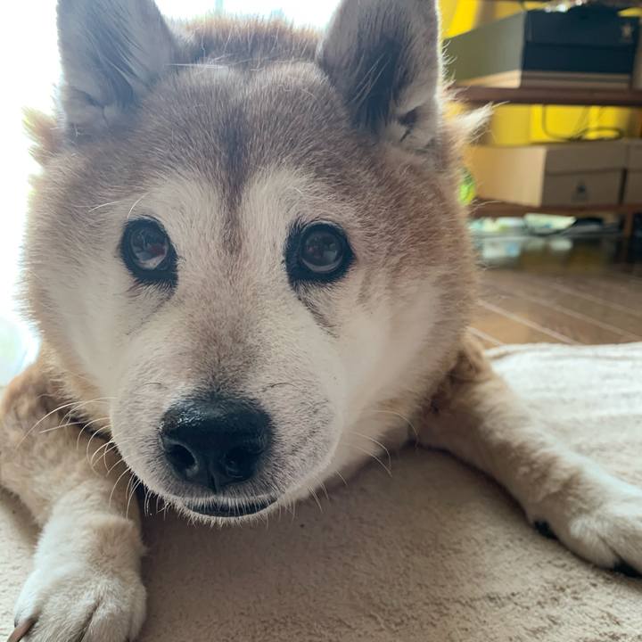 9b51fab9 a92c 489e 8dc1 ab22f8472d30 1619344864364