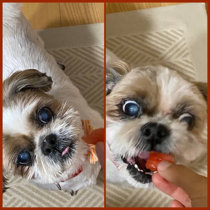 9b52106d 8515 44ec b947 23bbb7ead77e 1660301491578