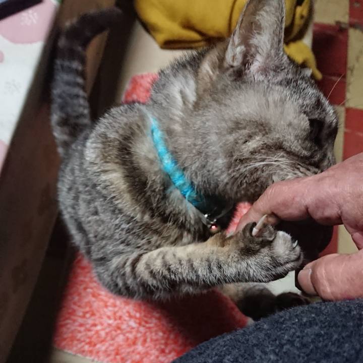 9b522a51 7b0d 4d03 bed4 cfeee381d94c 1551949493248