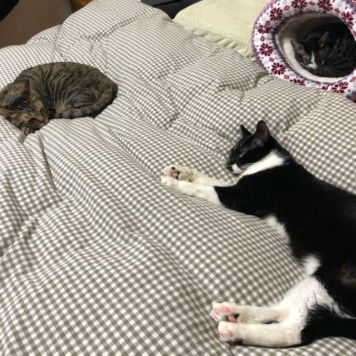 9b523b89 ae6b 42bb ac4f 74e4854ef156 1548020532779