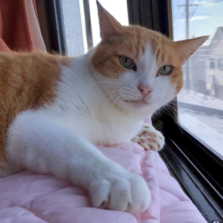 9b523d59 c9d8 478e ac06 5cfd4fa5eae7 1569370457473