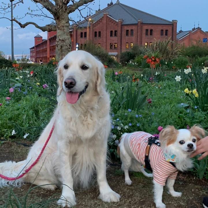 9b526330 9582 4c80 9587 79c53d533840 1680227187638