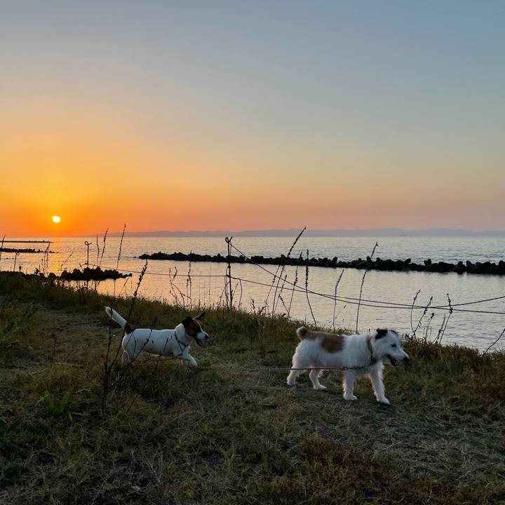 9b526cf7 13ad 405a b431 6e02fd2b85b9 1633270703395