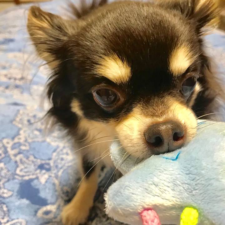 9b52755e dbd1 43fb ba0b b5dd4dc34e1b 1547380835859