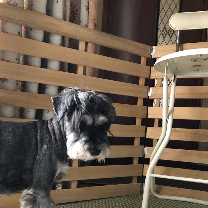 9b52cd64 8a43 41ed 8fbe 23d9b4efbc68 1661652847970