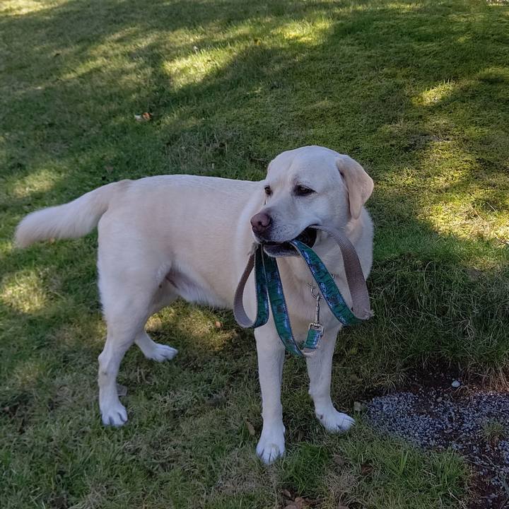 9b52ddbf 706a 4d2c b4d8 f7b74b9307ab 1664503819145