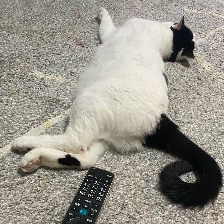 9b52ea6a 53d7 440c bd8e f3c2b232a124 1650888680182