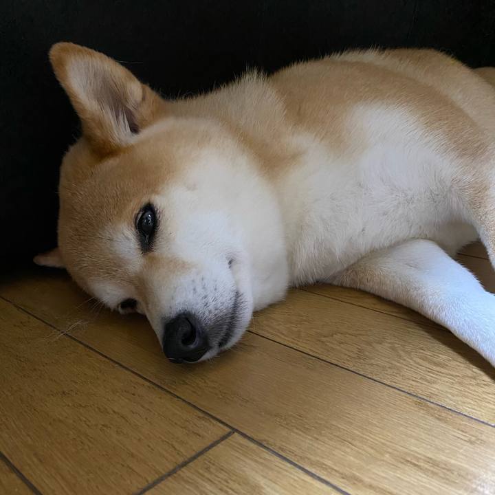 9b532d6f d98f 4dd8 ac48 23a6f757d9ee 1589928939385