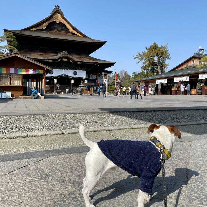 9b535f08 8269 4295 a315 aee298e98535 1648369097834