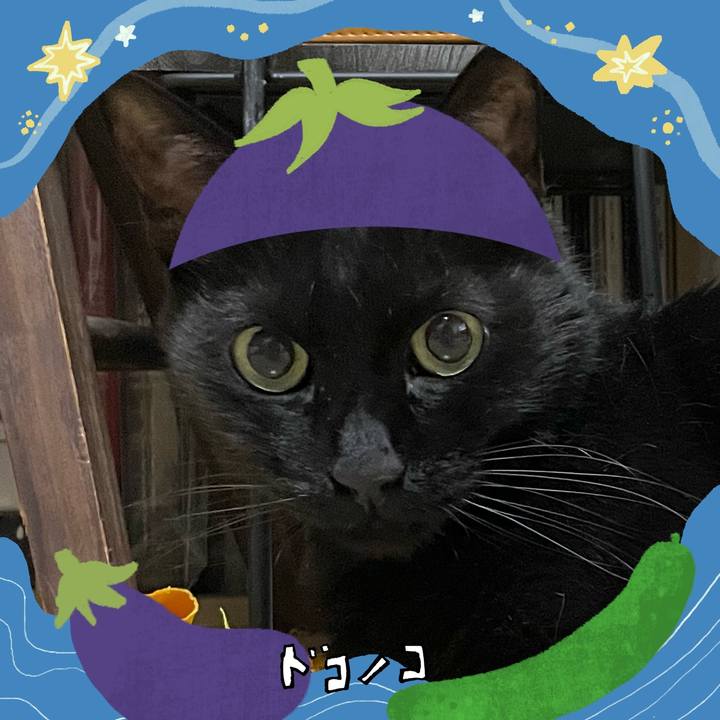 9b536317 ced3 4fb0 9094 d0224a2fffe1 1755215144298