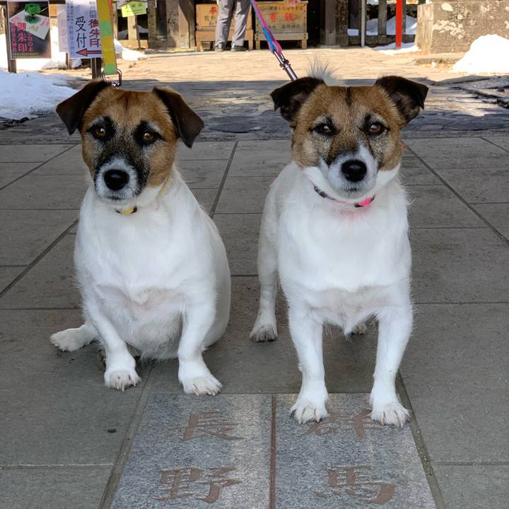 9b53c217 5fda 4bdf bef3 e45e643f09f9 1584589651050