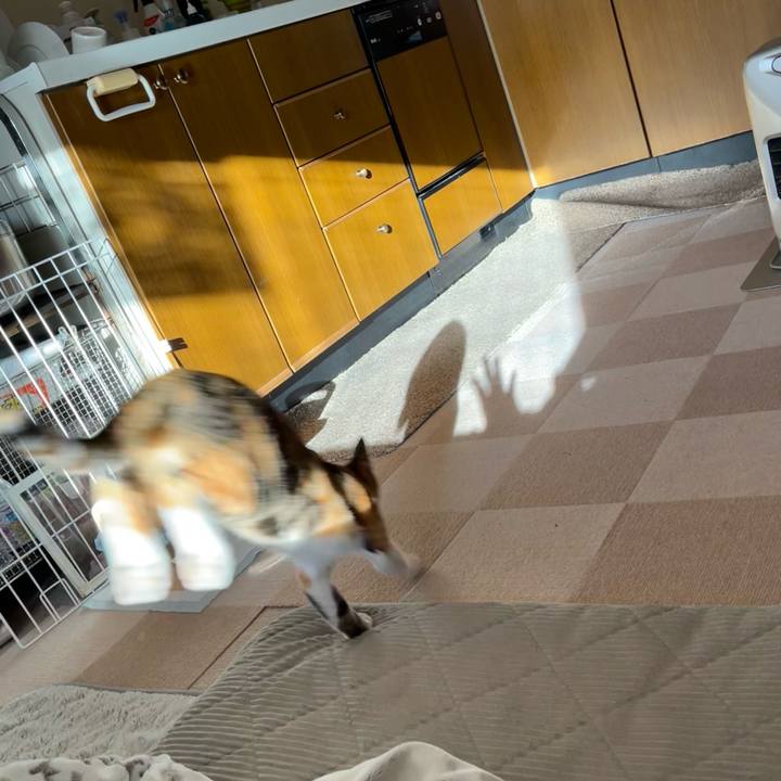 9b53ea87 c576 4908 bc53 f238048f24ad 1667602737890