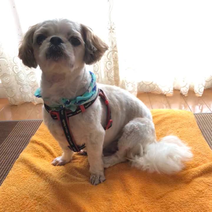 9b540423 9ee5 4c46 8a6a 877cf2066aca 1598218908001