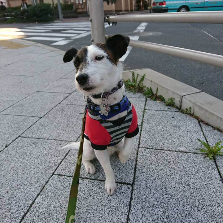 9b543f3b e23d 43e7 9ad9 6d59b0935d60 1520892845478