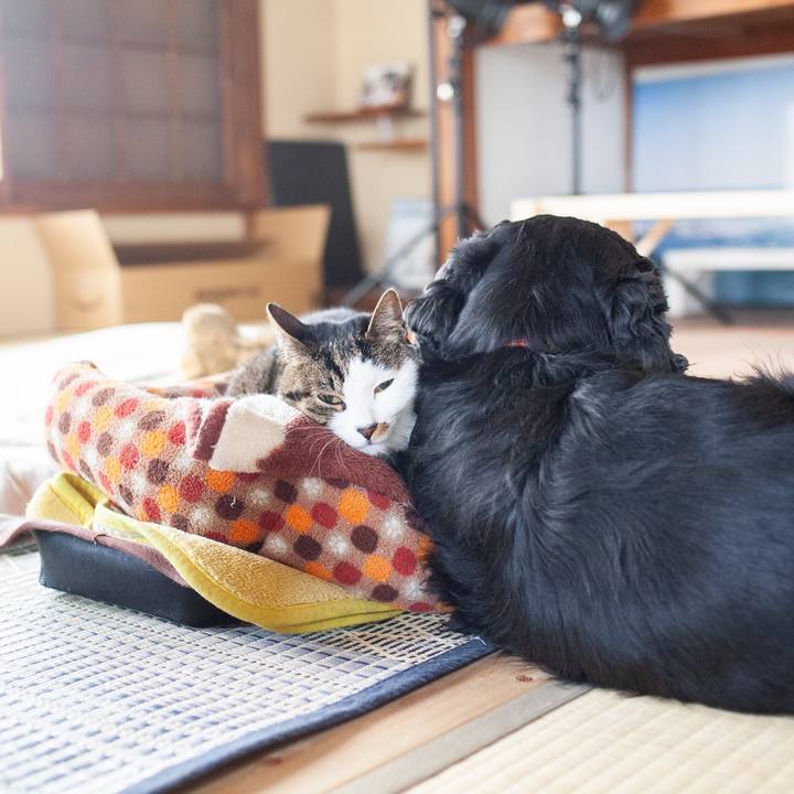 9b5476ee a76e 488a 9c66 79495a796677 1554865995127