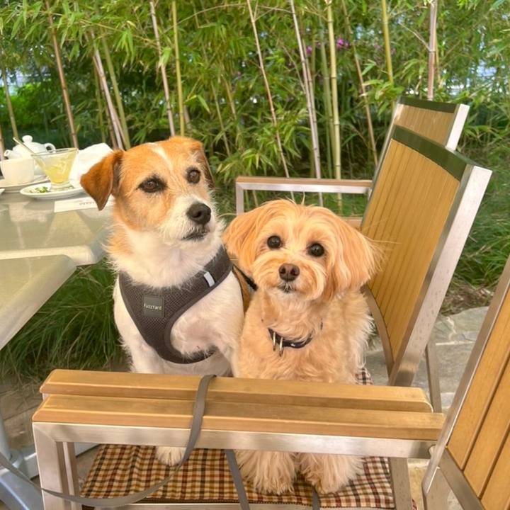 9b547b8b 48d3 4b58 8df7 e6f719375893 1651566229403