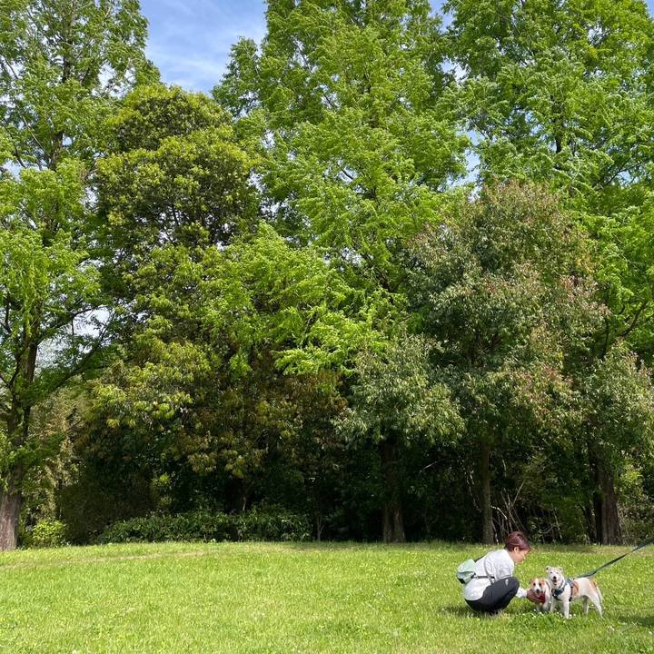 9b547d0d 1d53 4ffb 8654 cc561460f958 1683113599363