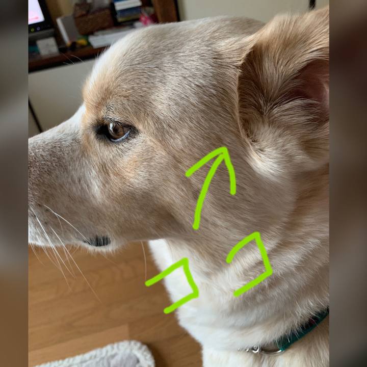 9b5494bc b0e0 4861 9e6b daef5f5de520 1555834328476