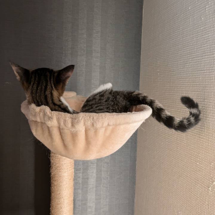 9b54b332 22f3 446c a575 7c67e1d3fa26 1728283326317