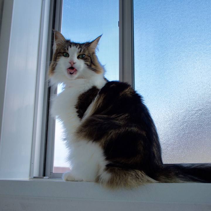 9b54c072 68f0 44cb 867d 59514573b577 1528889124610