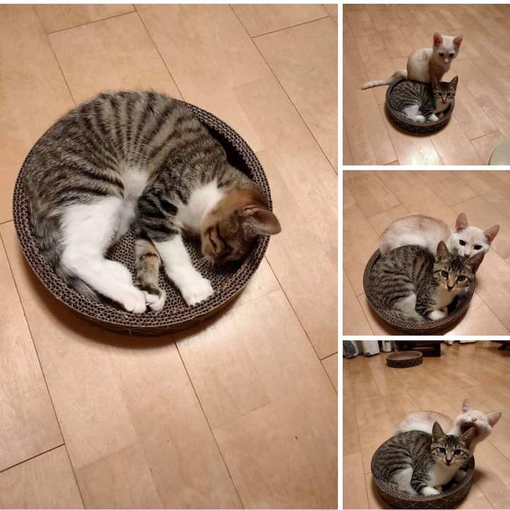 9b54cef2 04e8 4850 86a5 eb855c602584 1627826192944