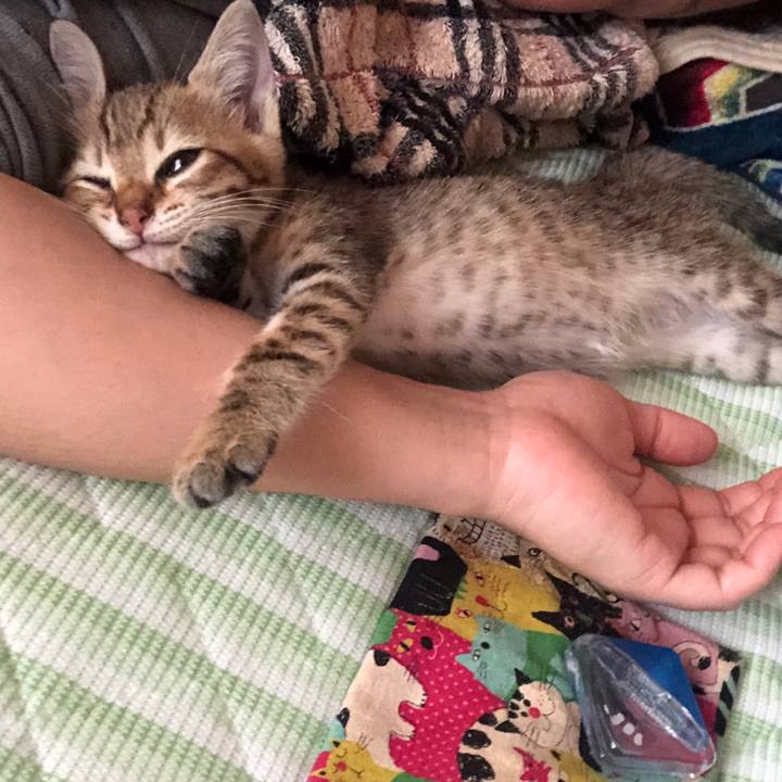 9b54d119 6511 4074 8de9 c8d03015c8ba 1583058981568