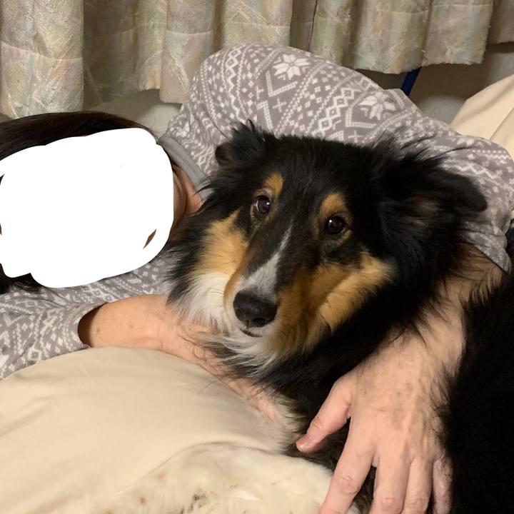 9b54d713 cfca 4be8 bdb8 85b1fe498fb5 1580681509132