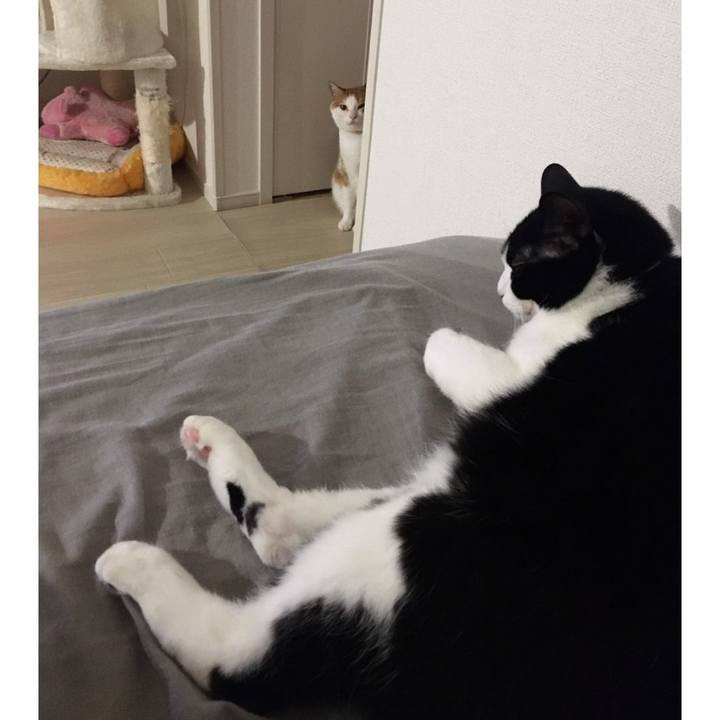 9b54f06d f0ce 4b0c ae06 8d03582d09b1 1594091399801