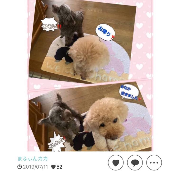 9b5553a0 503d 48f3 8e54 890f6197234e 1721085717700