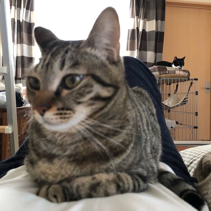 9b557013 85e8 47e8 afe5 0ad28a6635fb 1549485670905