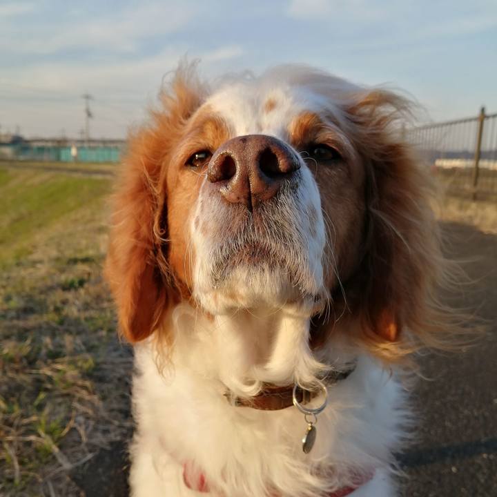 9b5579fb 5e1b 4bfb a505 1b9870a43fa5 1582632754988