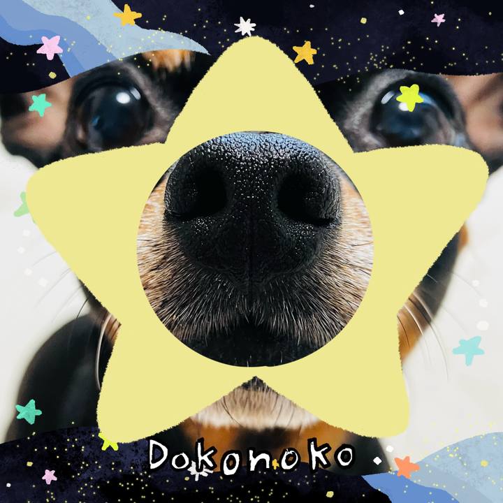 9b559bd4 c1a9 4dbc a8f1 b22b5d242c87 1721045874004