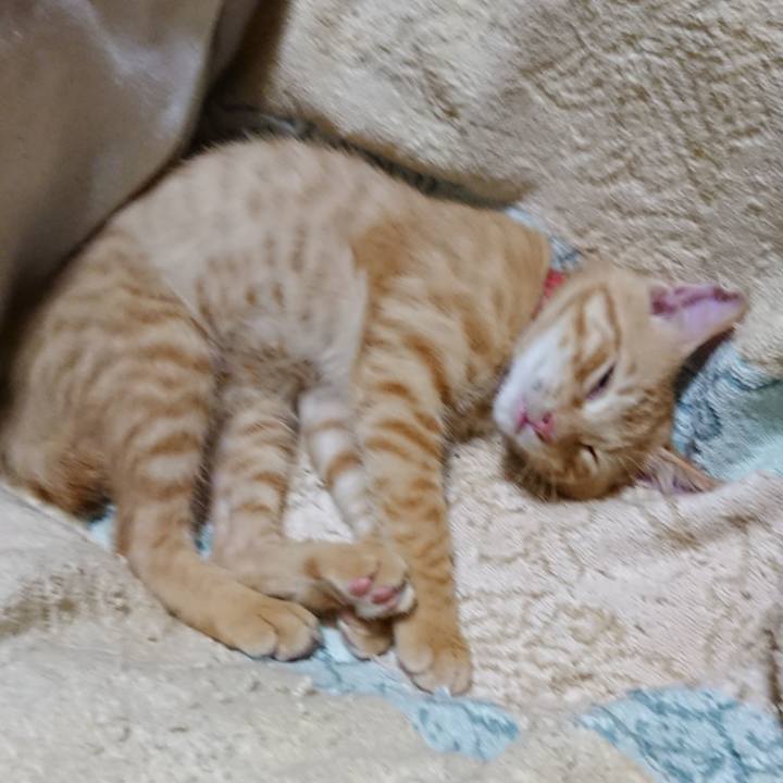 9b559e7c ae93 4842 aa58 944665dc061e 1631970767314