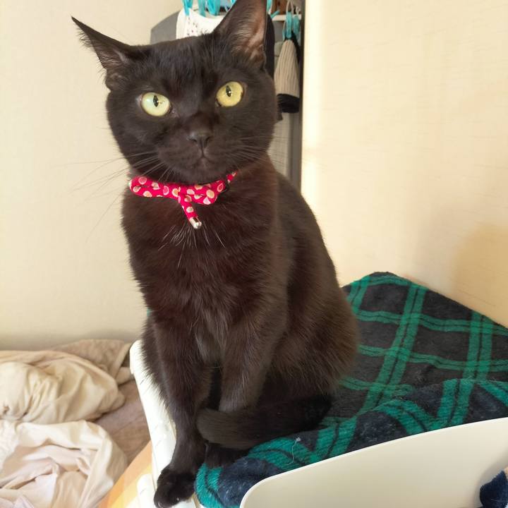 9b55d93f a264 4b89 b934 baa2c18d085a 1674168102686