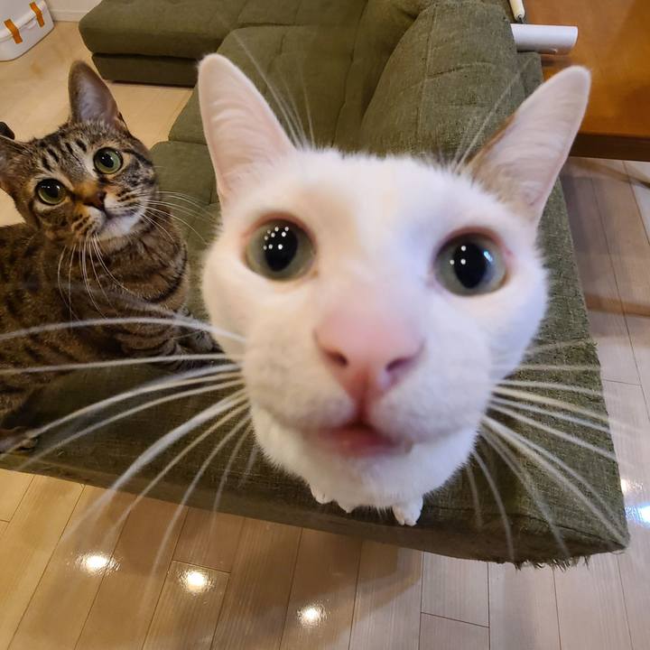 9b55eae4 3692 448b 8f2b 3262655311b5 1606465569456