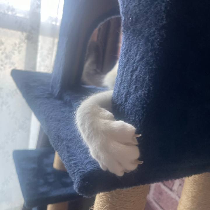 9b55efbc e158 4f58 afcb 8a0143563d8a 1715842245772