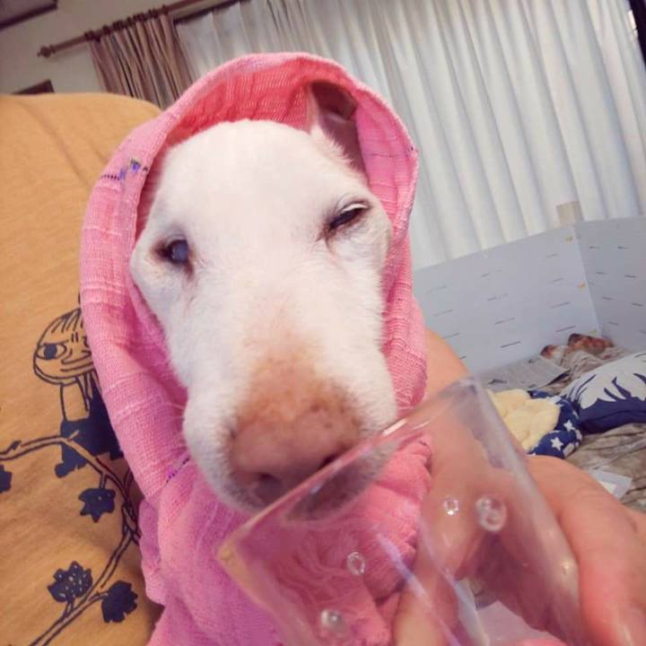 9b56044f 2b38 4179 b01f be30e22b151c 1622343346769