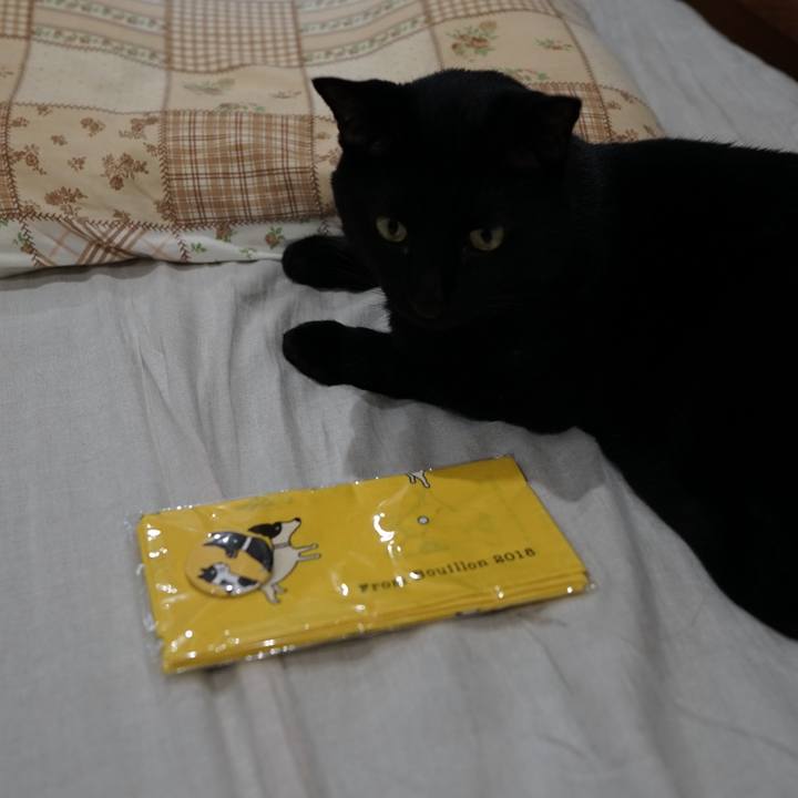 9b560590 4c47 42b0 b247 d34c852c98a4 1563838349013