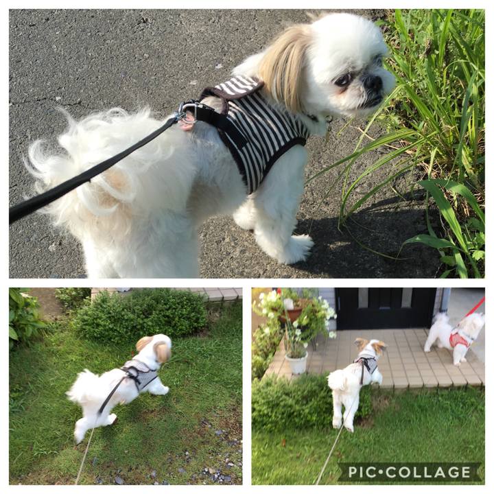 9b561f8d d762 4d92 a869 2caf6a2b7083 1566693171363