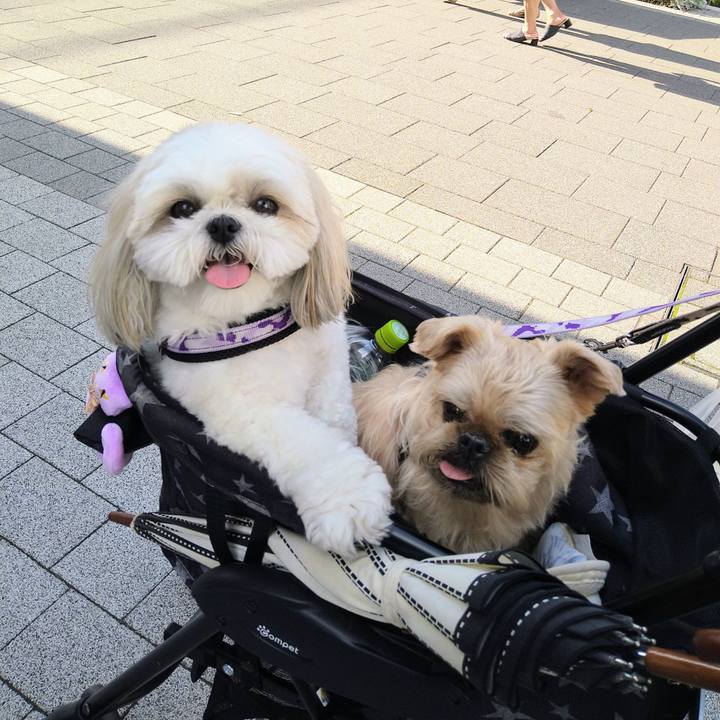 9b564adf e09f 42a6 9040 c1c18484669d 1653229153200