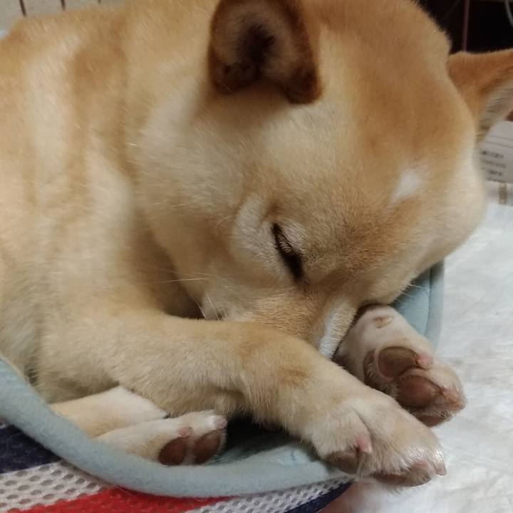 9b564e58 2c62 45b3 a95a 850cfeba7322 1562677179122