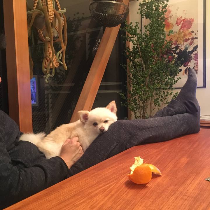 9b56cd4f 5567 4331 9acf bbea0e860035 1578134318943