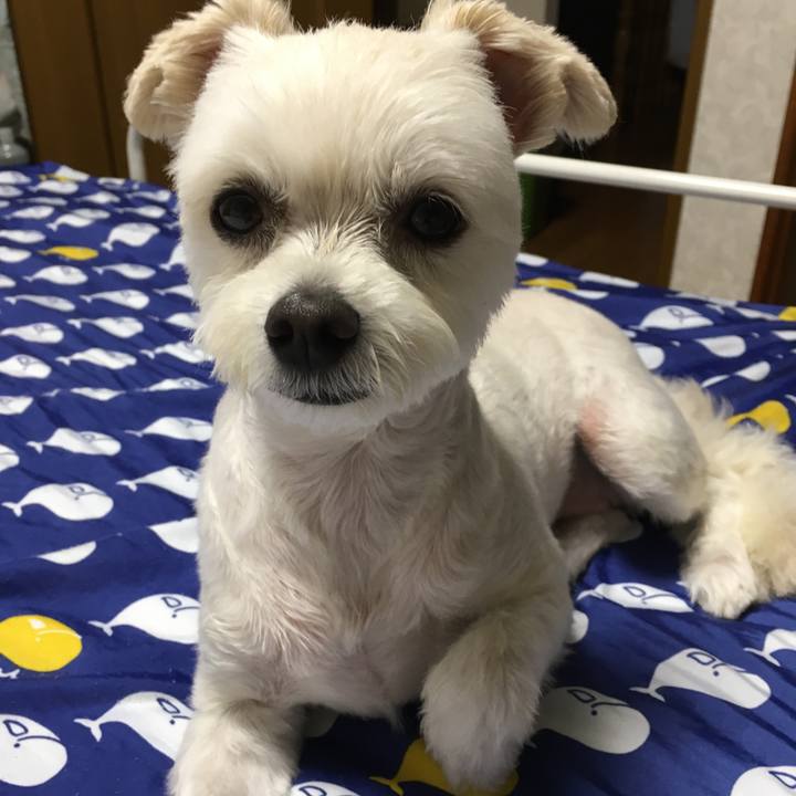 9b56cfdd 3259 43f7 8802 6b7107479120 1562935694616