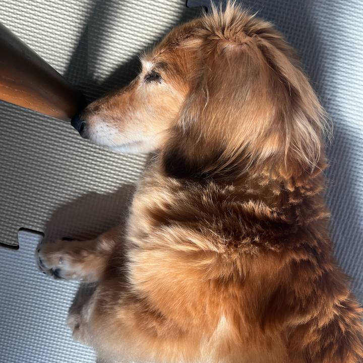 9b56e48b c182 4545 bf95 d5681885b565 1656590295904